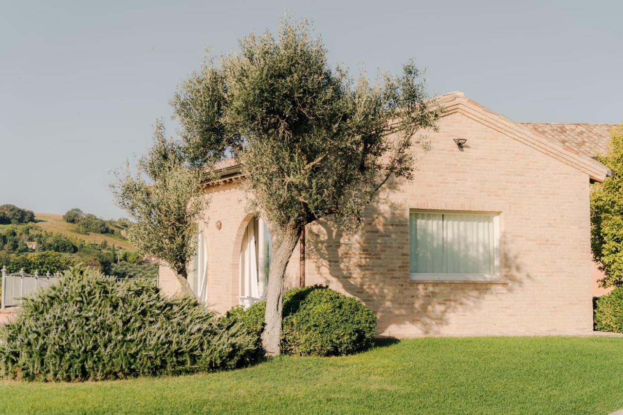Nontiscordardime B&B Villa Agriturismo Civitanova Marche Kültér fotó
